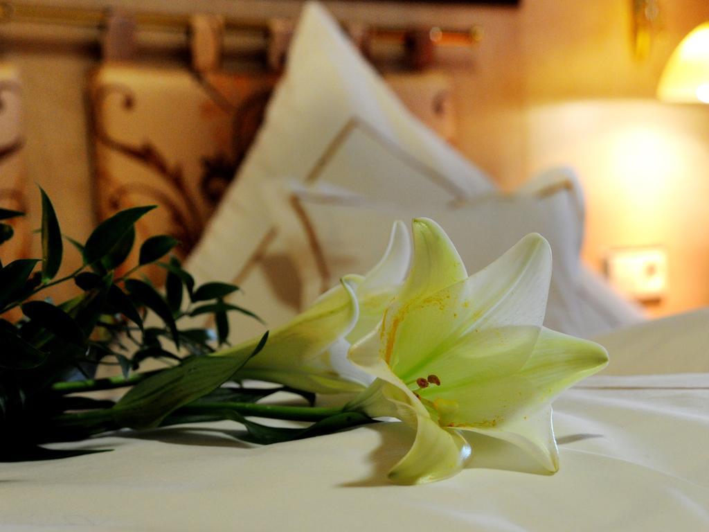 Wellness- Und Ferienhotel Waldesruh โบเดนไมส์ ห้อง รูปภาพ